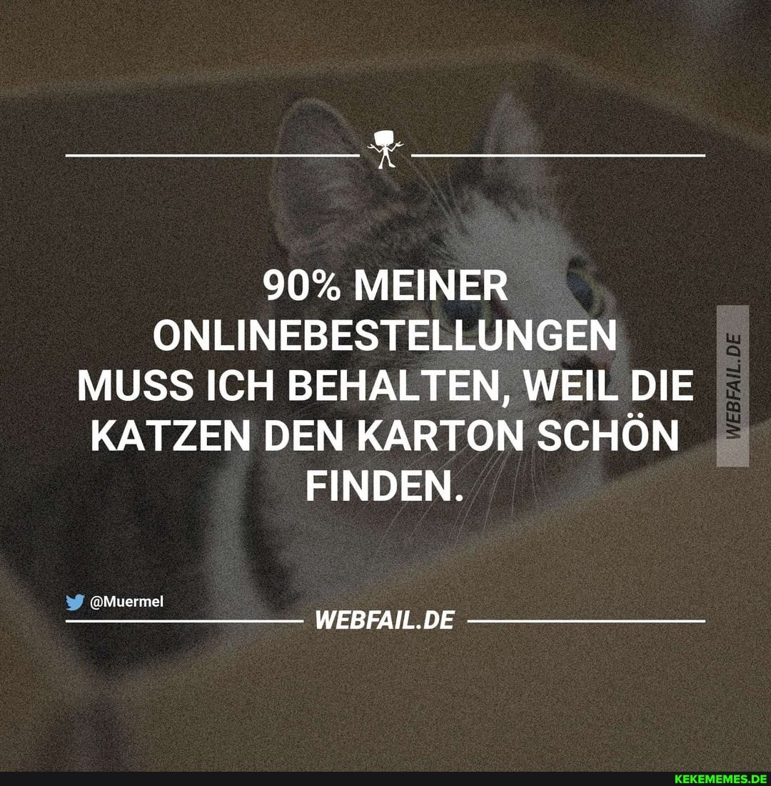 90% MEINER ONLINEBESTELLUNGEN MUSS ICH BEHALTEN, WEIL DIE KATZEN DEN KARTON SCHÖN FINDEN.
@Mwermel
WEBFAIL.DE