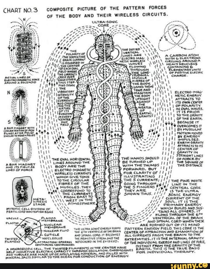 CHART NOS COMPOSITE PICTURE OF THE PATTERN FORCES OF THE BODY AND THEIR ...