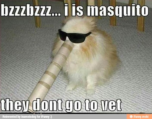 lol, vis, masquito