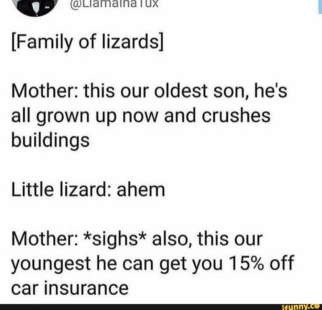 Ap [Family of lizards] Mother: this our oldest son, he's all grown up ...