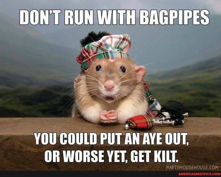 DON'T RUN WITH BAGPIPES
YOU COULD PUT AN AYE OUT OR WORSE VET, GET KILT
