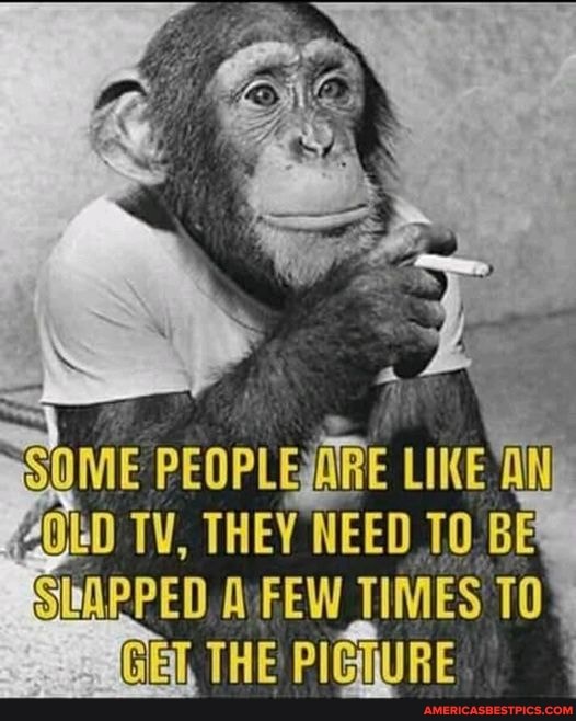 PEOPLE THEY NEED Ble
TIMES TO THE