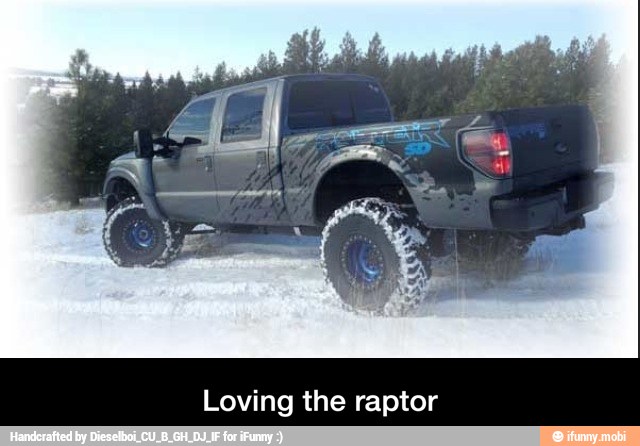 Loving the raptor - Loving the raptor