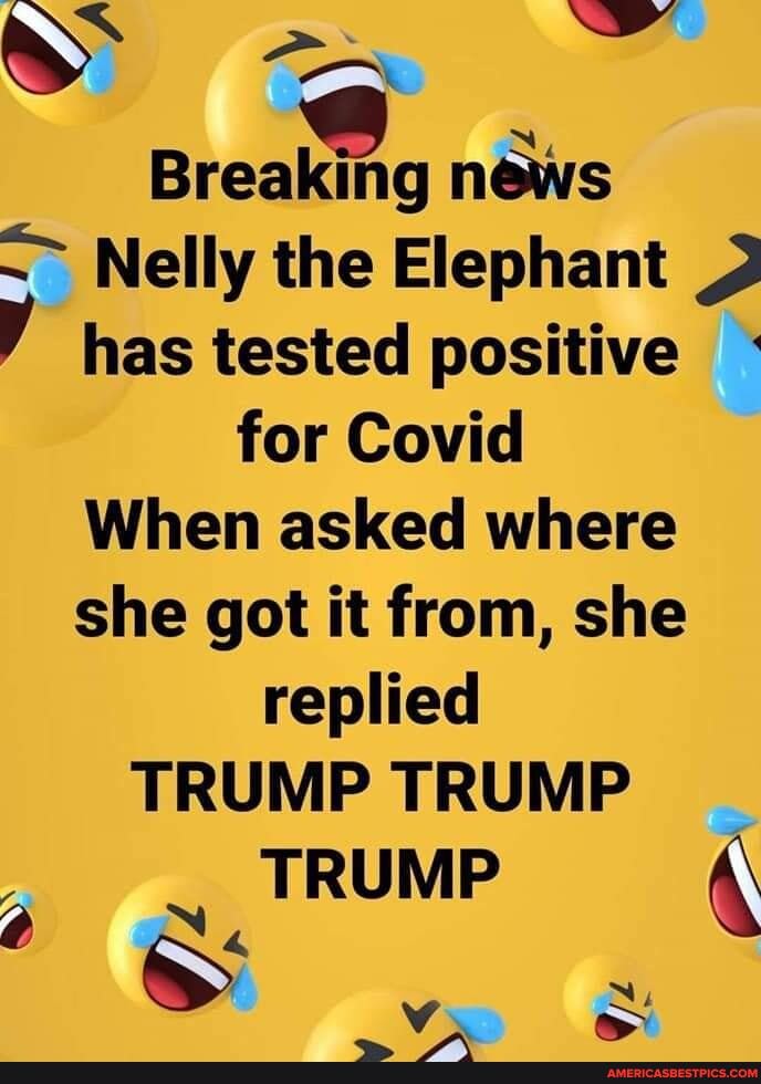 Breaking news
Nelly the Elephant has tested positive
for Covid
When asked where she got it from, she replied
TRUMP TRUMP
TRUMP
SS