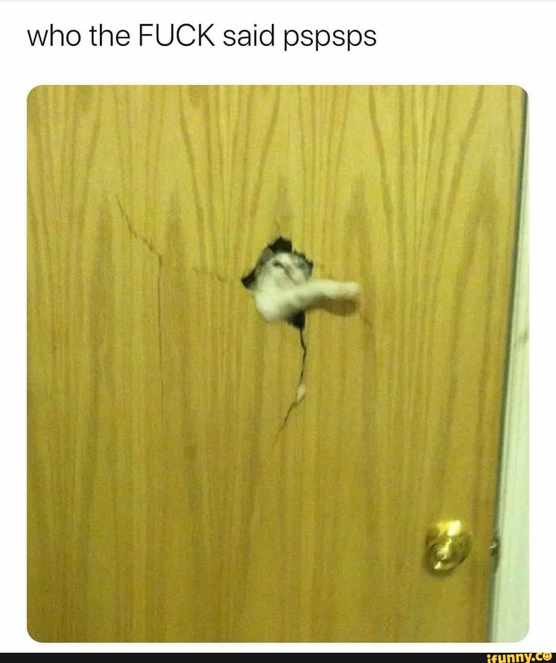 who the FUCK said pspsps