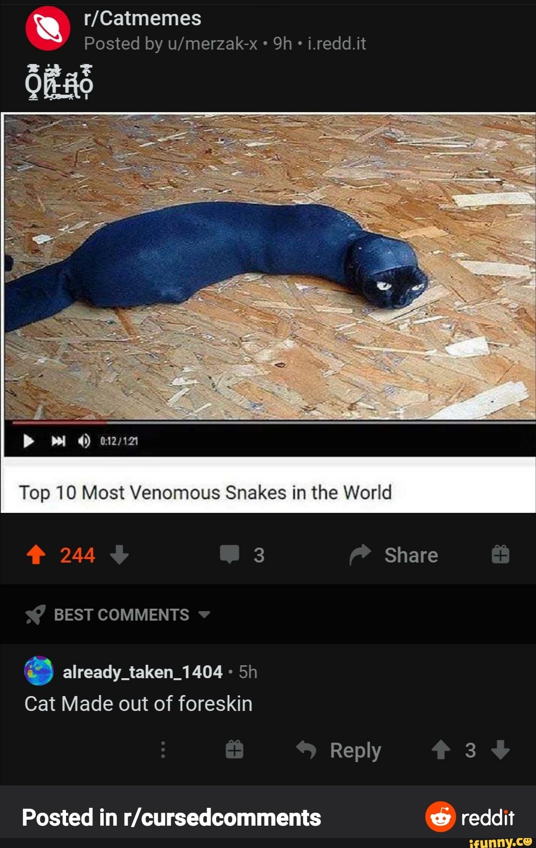 Posted by it
> mi
ES
Top 10 Most Venomous Snakes in the World
Share
BEST COMMENTS
already_taken_1404 Sh
Cat Made out of foreskin
Reply 3
Posted in reddit