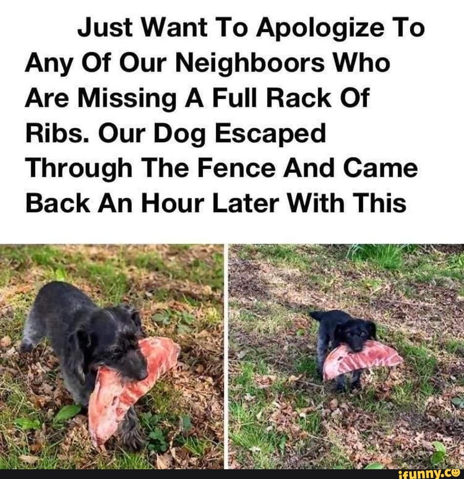 Just Want To Apologize To
Any Of Our Neighboors Who
Are Missing A Full Rack Of
Ribs. Our Dog Escaped
Through The Fence And Came
Back An Hour Later With This
