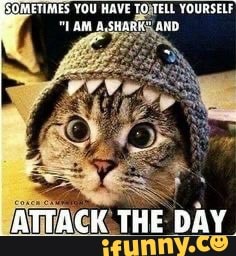SOMETIMES YOU HAVE YOURSELF
"LAM SHARK AND
DAY