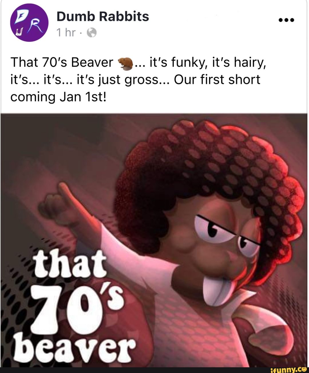 Dumb Rabbit Dumb Rabbits That 70's Beaver 4... it's funky, it's hairy, it's... it's ...