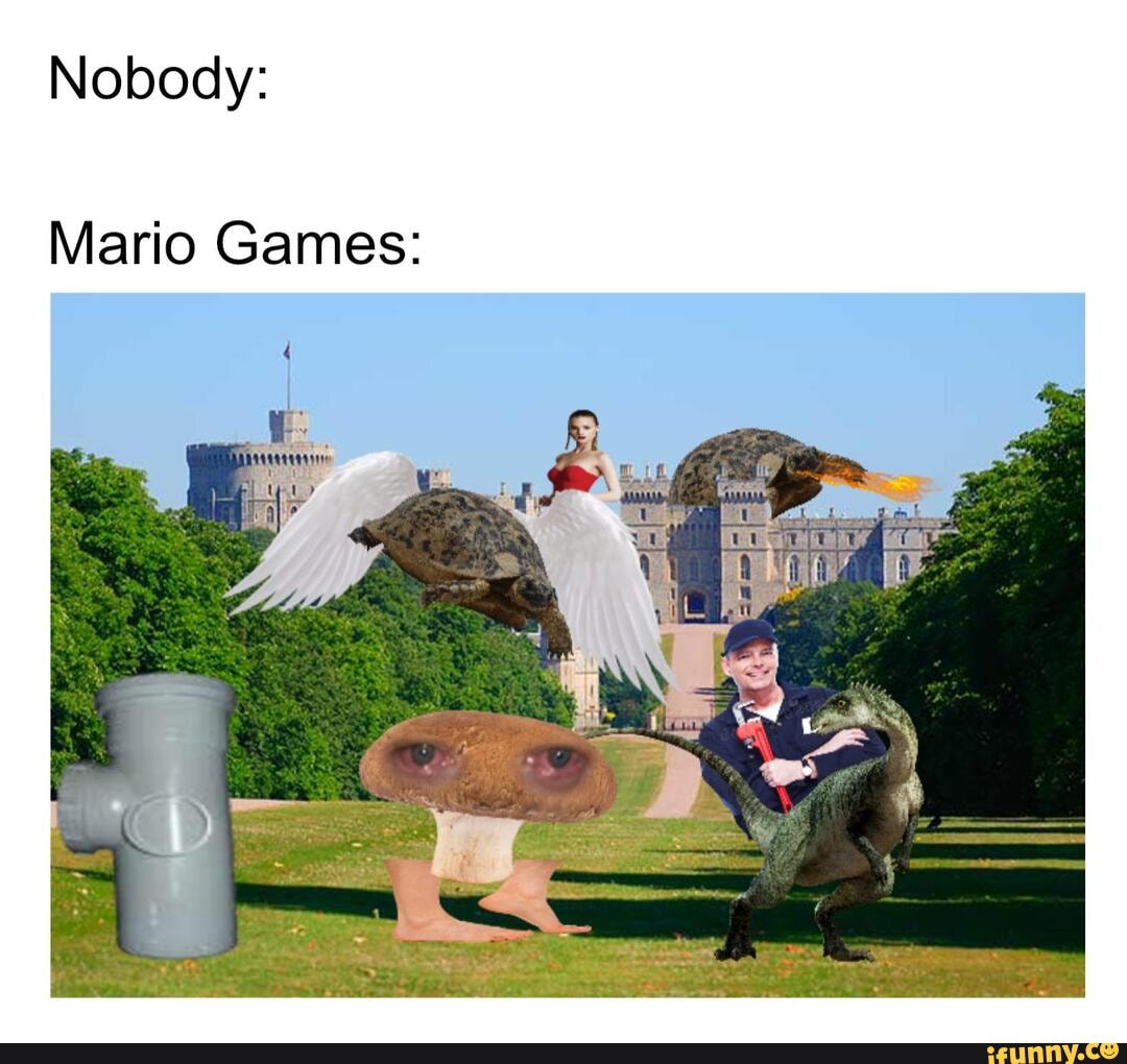 Nobody:
Mario Games: