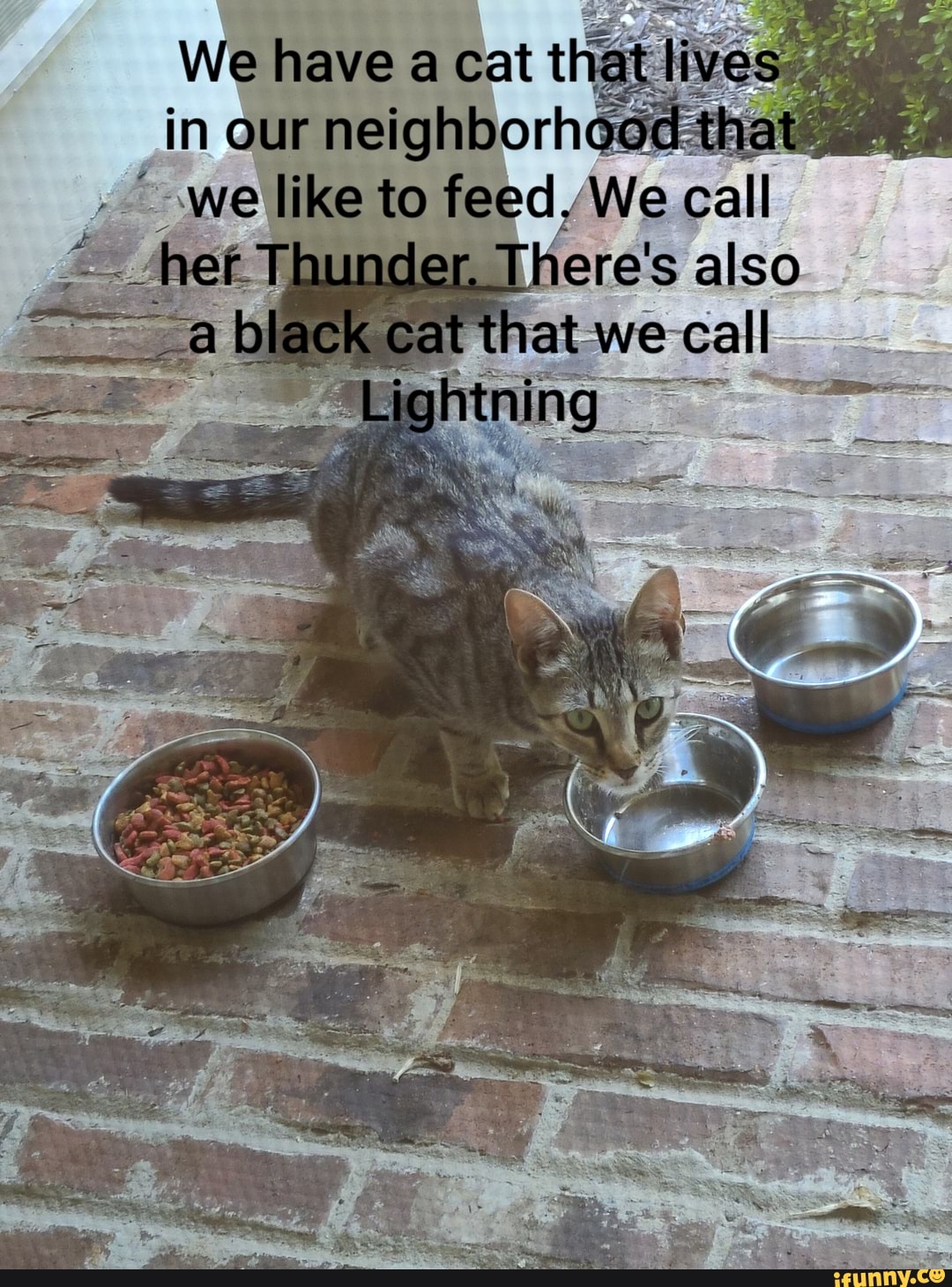 here's also
we call