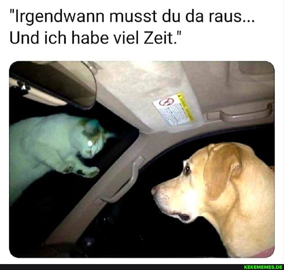 "Irgendwann musst du da raus...
Und ich habe viel Zeit.'