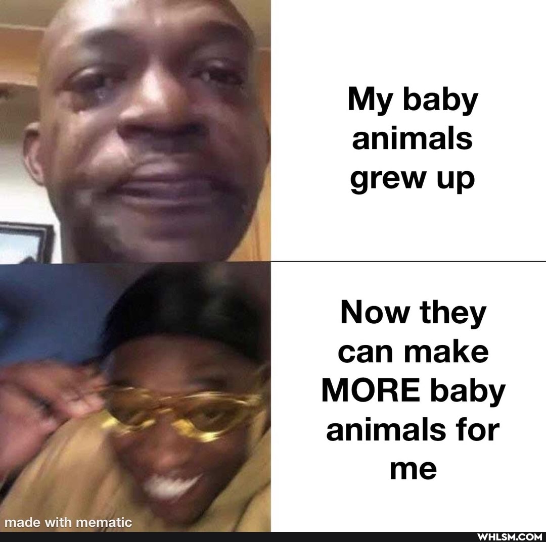 My baby animals grew up
Now they can make
MORE baby animals for me