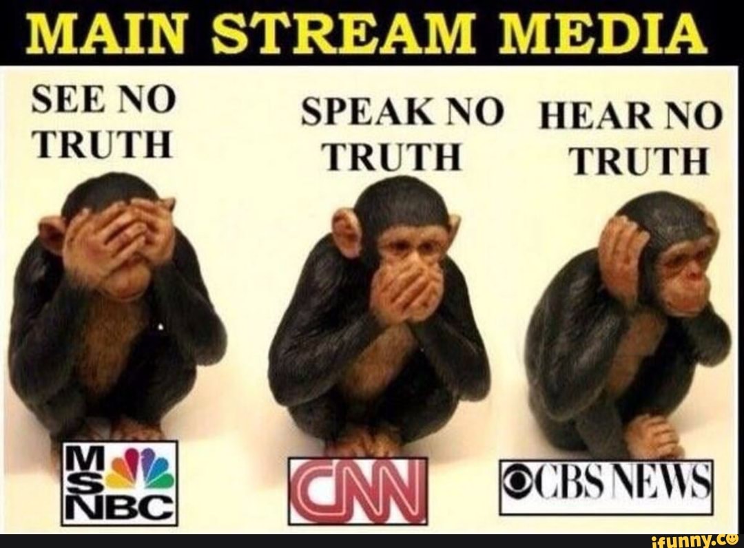 MAIN STREAM MEDIA
SEE NO SPEAKNO HEARNO
TRUTH TRUTH