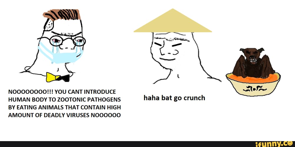 NOOOOOOOO!!! YOU CANT INTRODUCE HUMAN BODY TO ZOOTONIC PATHOGENS BY ...