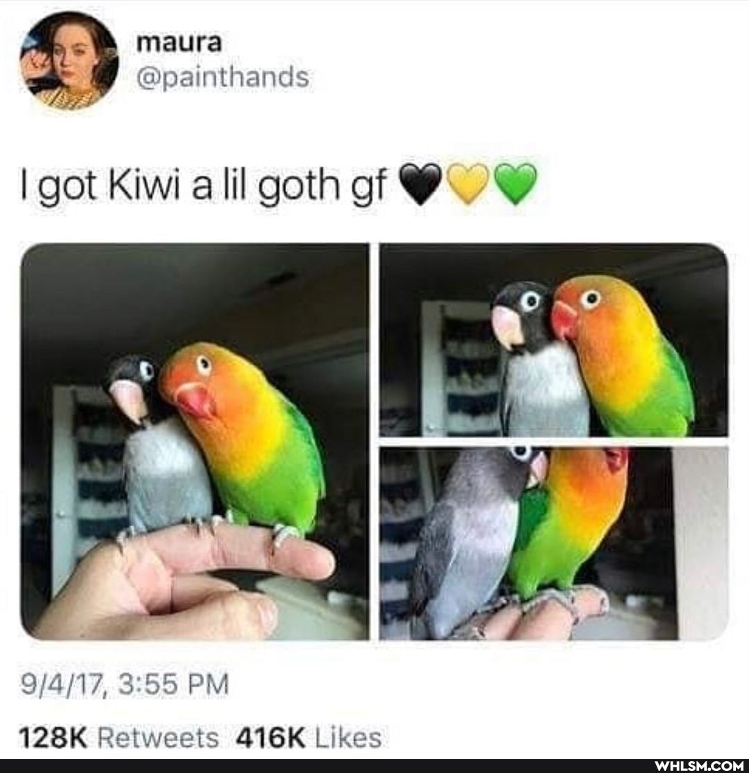 maura
' @painthands
I got Kiwi alil goth gf
PM
192K Retweetc A16K ikaac