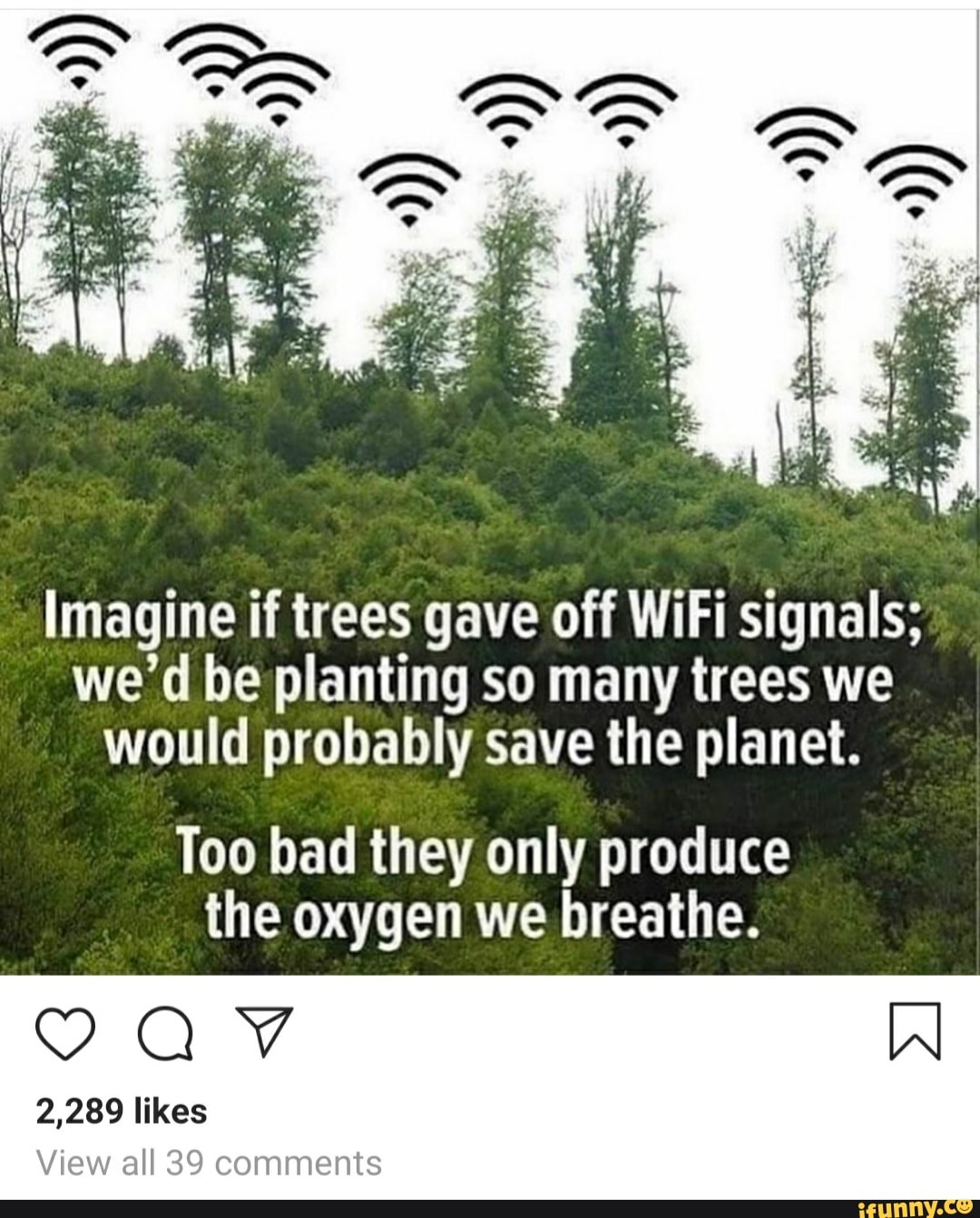 Imagine if trees gave off WiFi signals; we’d be planting so many trees