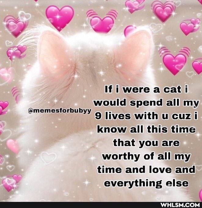 If i were a cat i would spend all my
9 lives with u cuz ti know all this time
that you are worthy of all my time and love and everything else
RE
@memesforbubyy