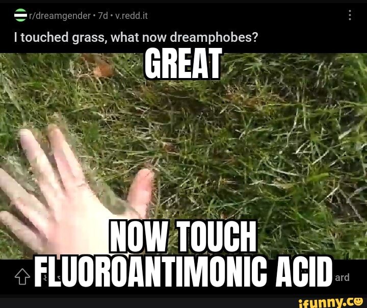 Touch grass : r/memes