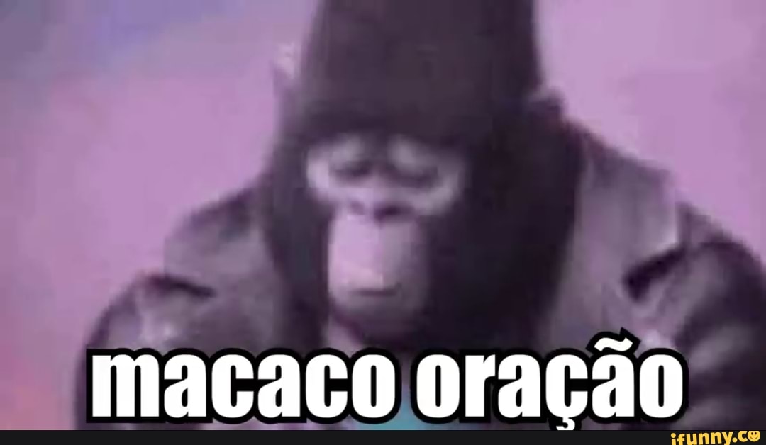 macaco oração