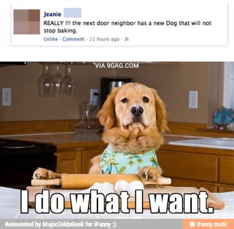 REALLY the next door neighbor has a new Dog that will not
stop baking