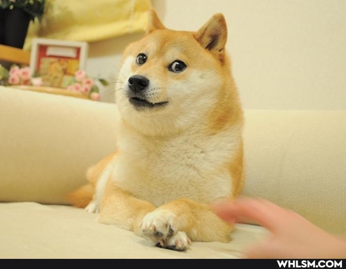the_more_you_know, advice_animals