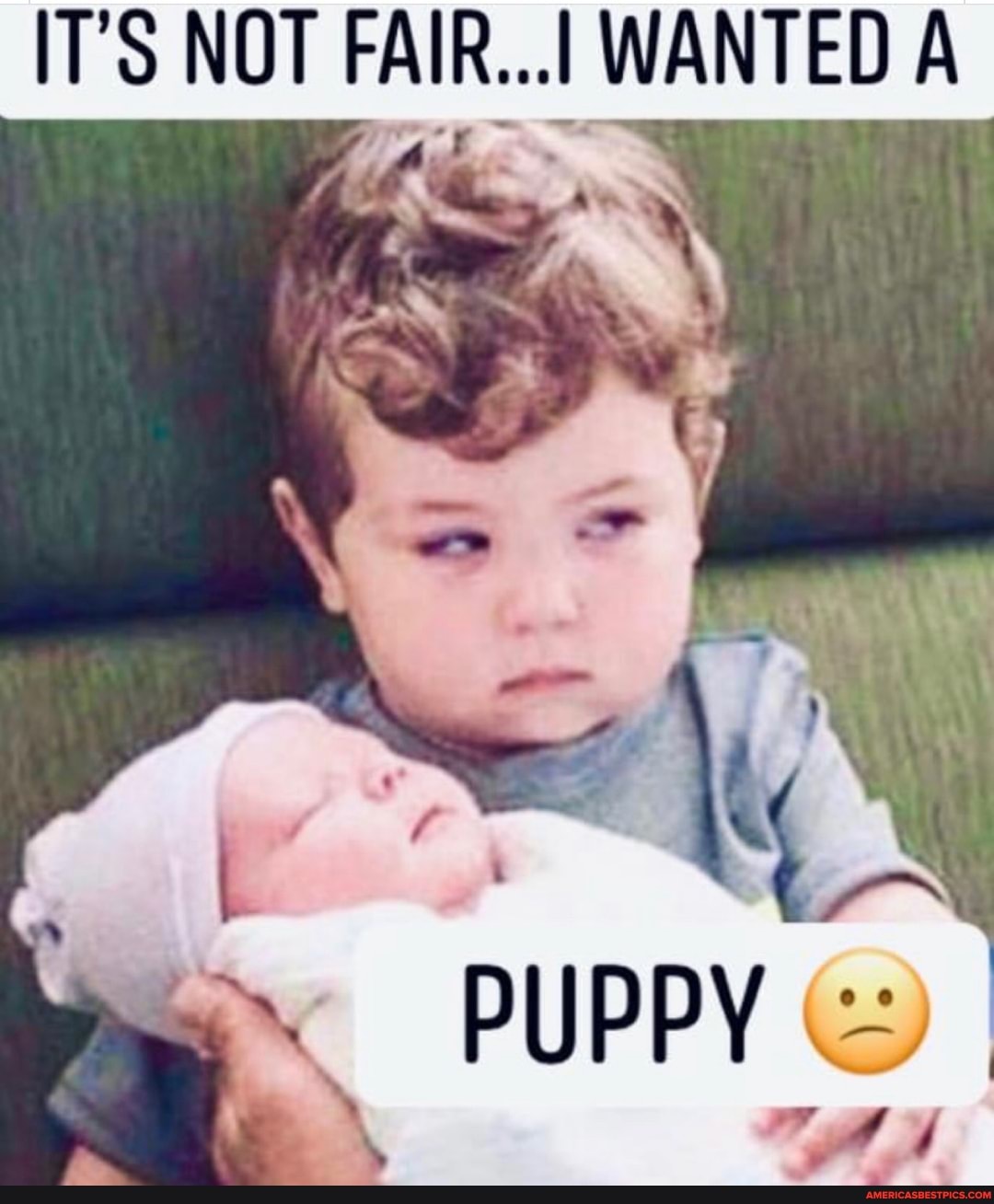 IT'S NOT FAIR.... WANTED A
iT
PUPPY