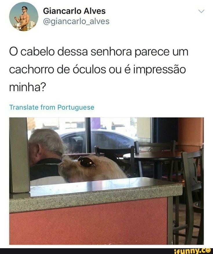 Giancarlo Alves
(giancarlo alves
O cabelo dessa senhora parece um cachorro de óculos ou é impressão minha?
Translate from Portuguese