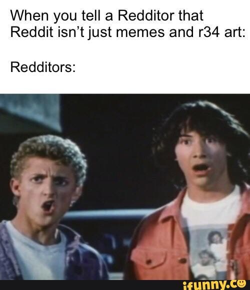 When You Tell A Redditor That Reddit Isn T Just Memes And Art Redditors