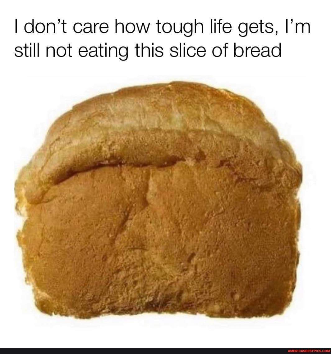 I Don T Care How Tough Life Gets I M Still Not Eating This Slice Of Bread America S Best Pics And Videos