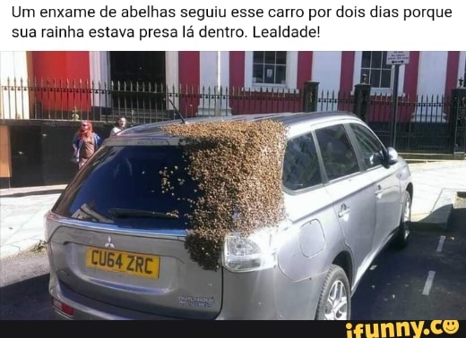 Um enxame de abelhas seguiu esse carro por dois dias porque sua rainha estava presa lá dentro. Lealdade!