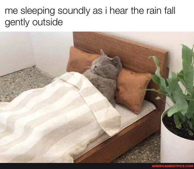 me sleeping soundly as i hear the rain fall gently outside