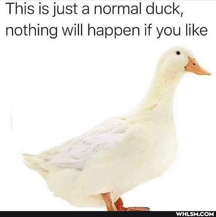 This is just a normal duck, nothing will happen if you like