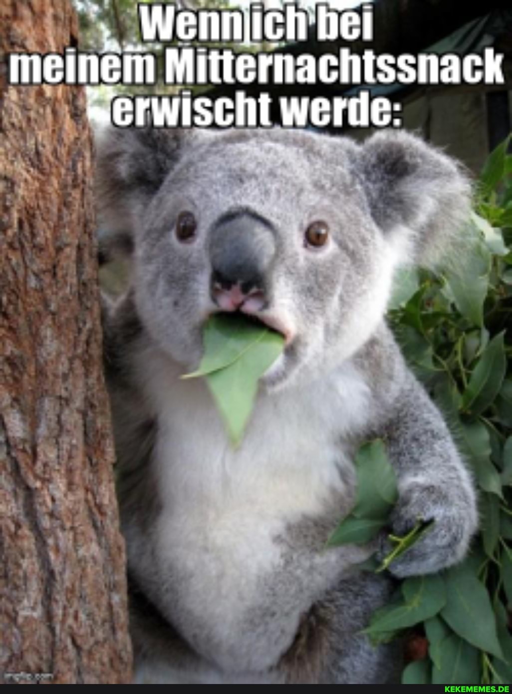 Wenniuch "hei meinen Miitternachtssnack
"erwischt werde: