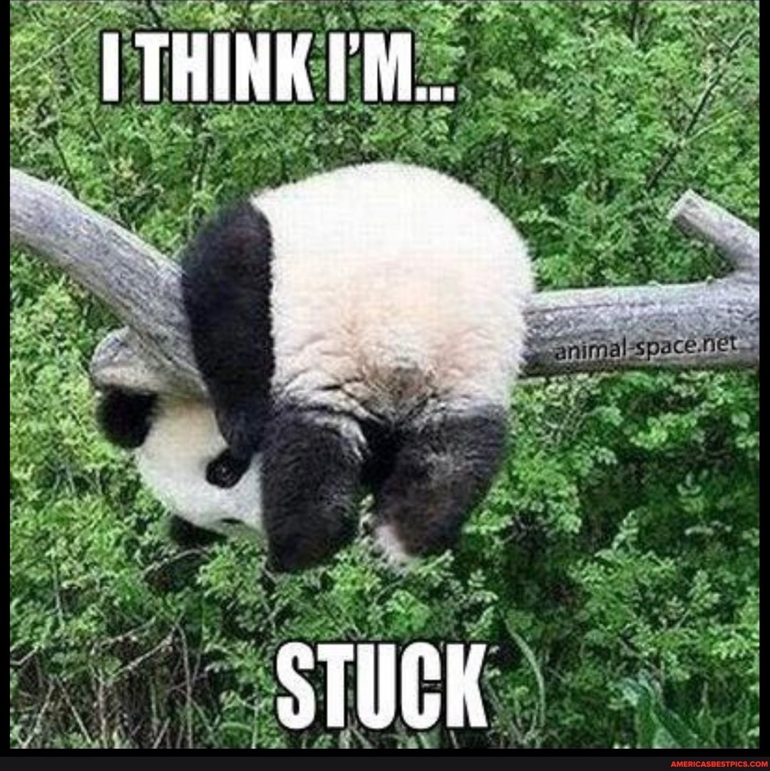 THINK 'M...
STUCK