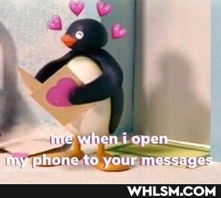me when i open
vhiornie to Messages