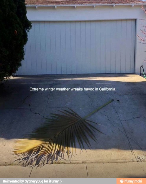 Extreme winter weather wreaks havoc in
Calforia.