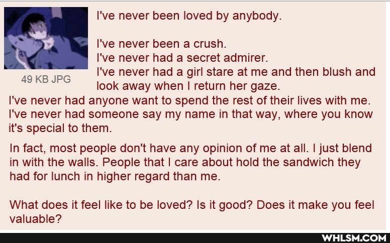 I've never been loved by anybody.
I've never been a crush.
I've never had a secret admirer.
I've never had a girl stare at me and then blush and look away when I return her gaze.
I've never had anyone want to spend the rest of their lives with me.
I've never had someone say my name in that way, where you know it's special to them.
In fact, most people don't have any opinion of me at all. I just blend in with the walls. People that I care about hold the sandwich they had for lunch in higher regard than me.
49 KB JPG
What does it feel like to be loved? Is it good? Does it make you feel valuable?