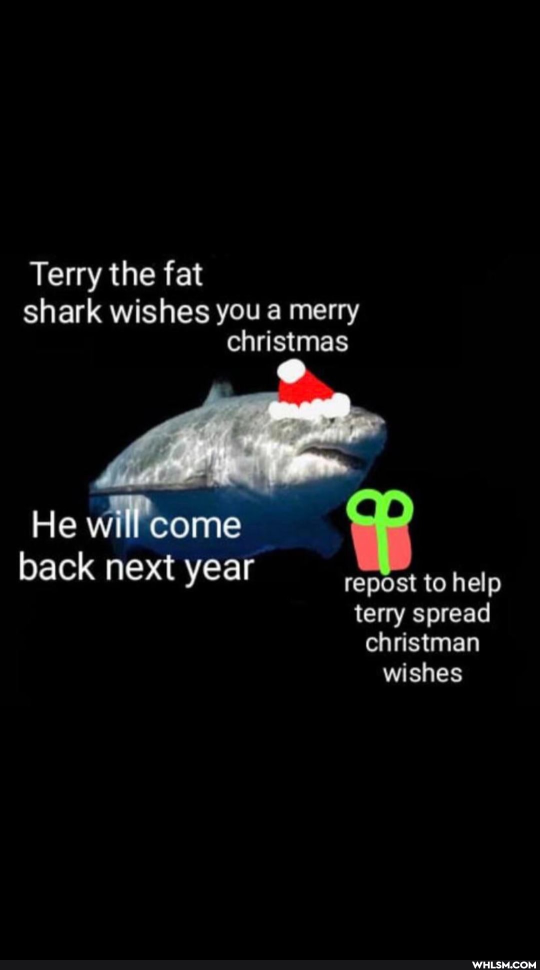 Terry the fat
snark wishes you a merry christmas
He will come
back next year repdst to help
terry spread ehristman wishes