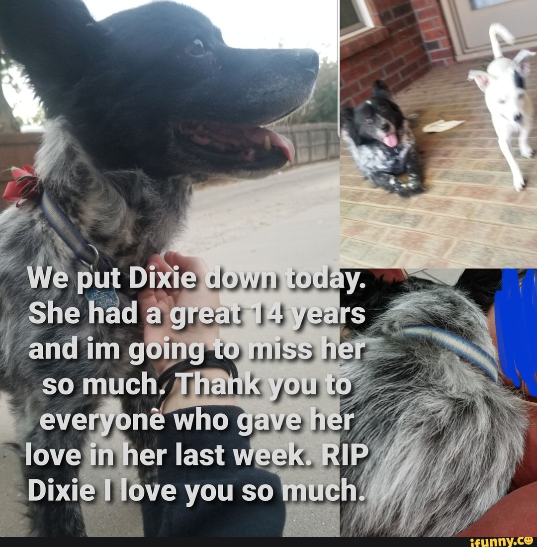 She had great
anid im ing miss
SO YOU who gaye
love in her last week. RIF
love you so
SS