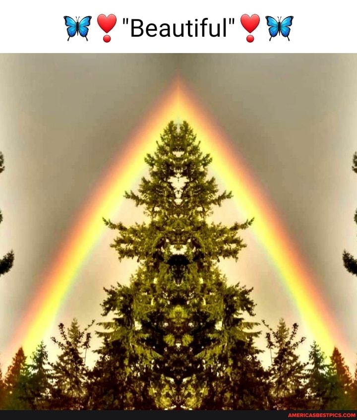 wi Y Beautiful' wi