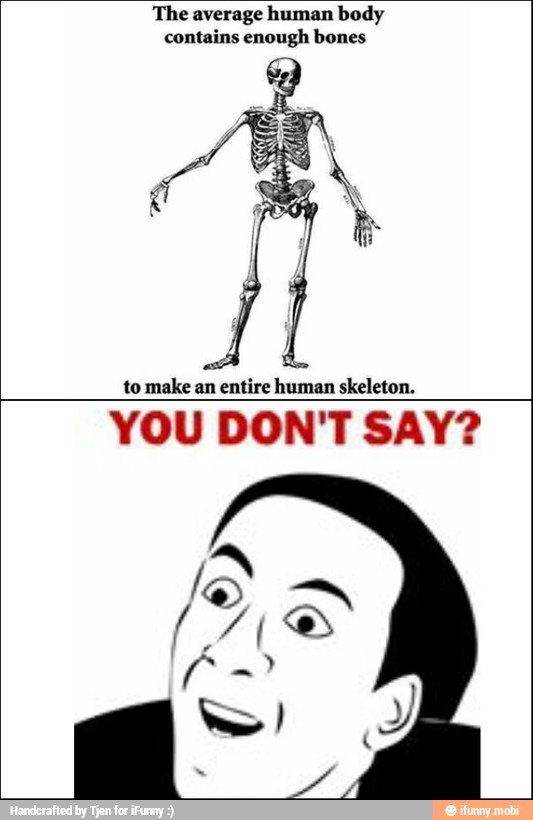 The average human body
contains enough bones
A 38
to make an entire human skeleton.
YOU DON'T SAY?