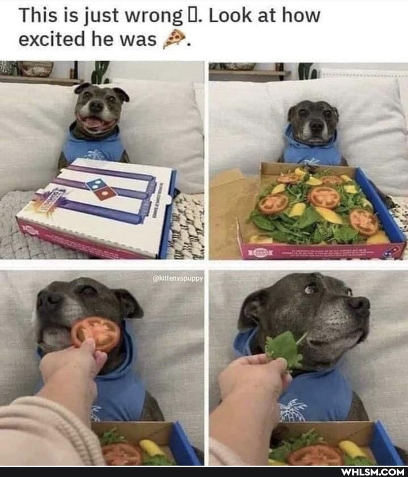 This is just wrong Look at how excited he was