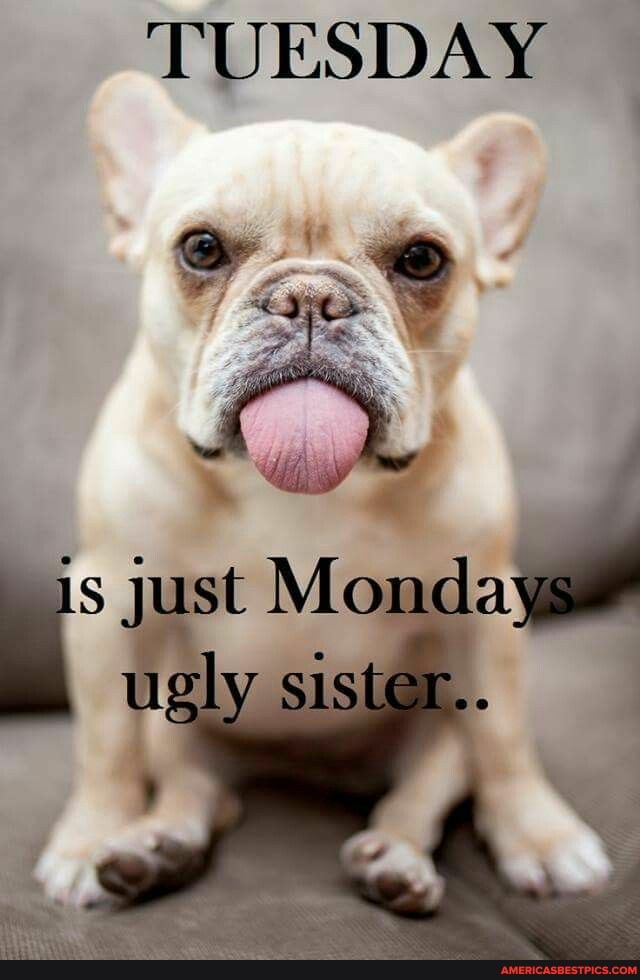 TUESDAY
is Just Mondays
ugly sister...
