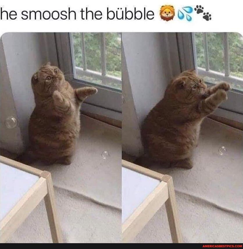 he smoosh the bilbble
re