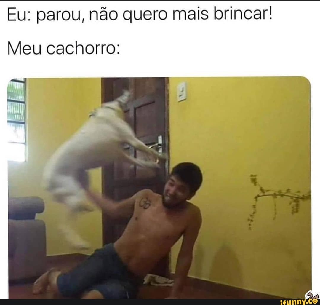 Eu: parou, não quero mais brincar!
Meu cachorro: