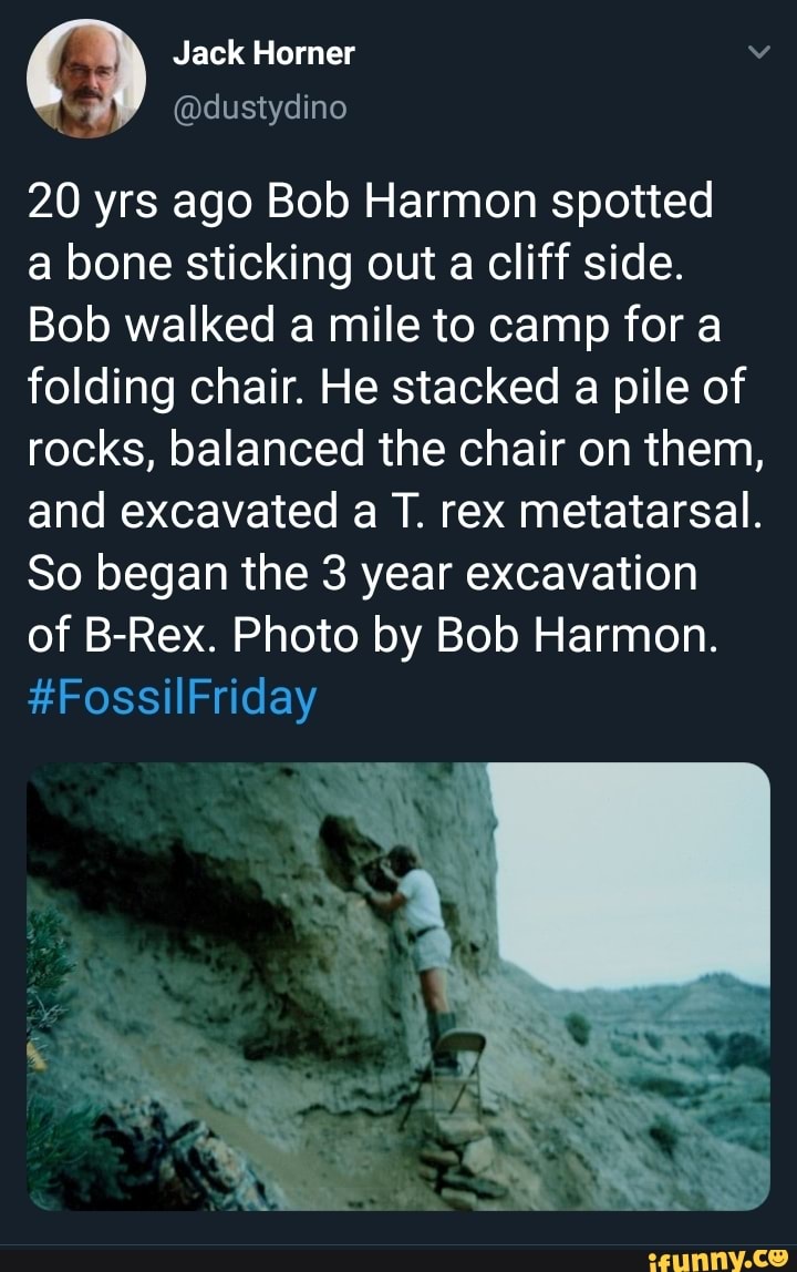 Jack Horner v
Q
@dustydino
20 yrs ago Bob Harmon spotted
a bone sticking out
a cliff side.
Bob walked a mile to camp for a
folding chair. He stacked a pile of
rocks, balanced the chair on them,
and excavated a T. rex metatarsal.
So began the 3 year excavation
of B-Rex. Photo by Bob Harmon.