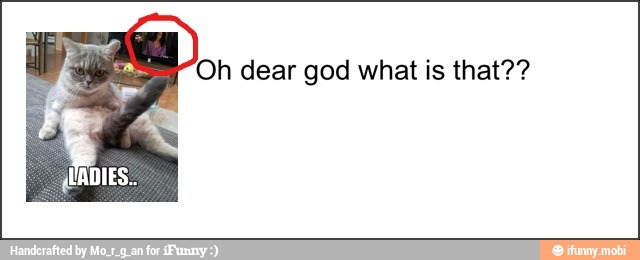 Oh dear god what is that??