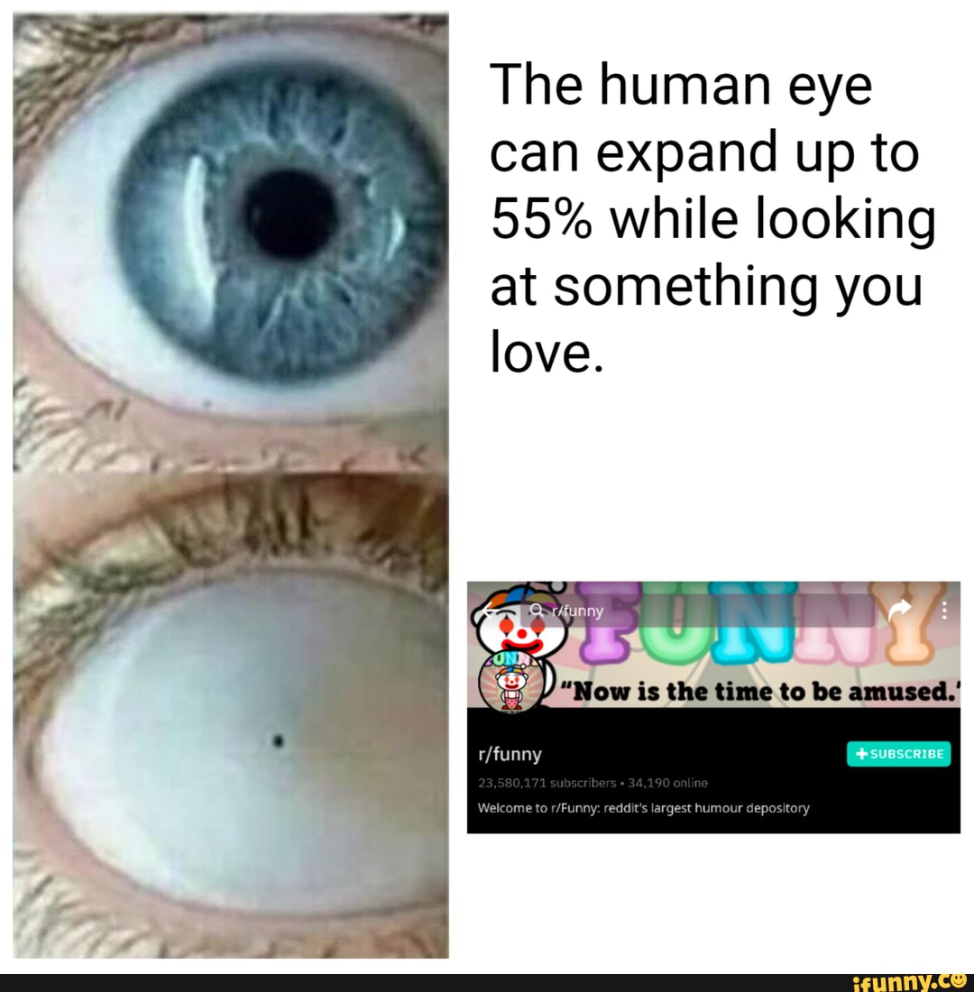 The pupil of your eye can expand as much is 55% will]: locking at sºmething  you love. - iFunny