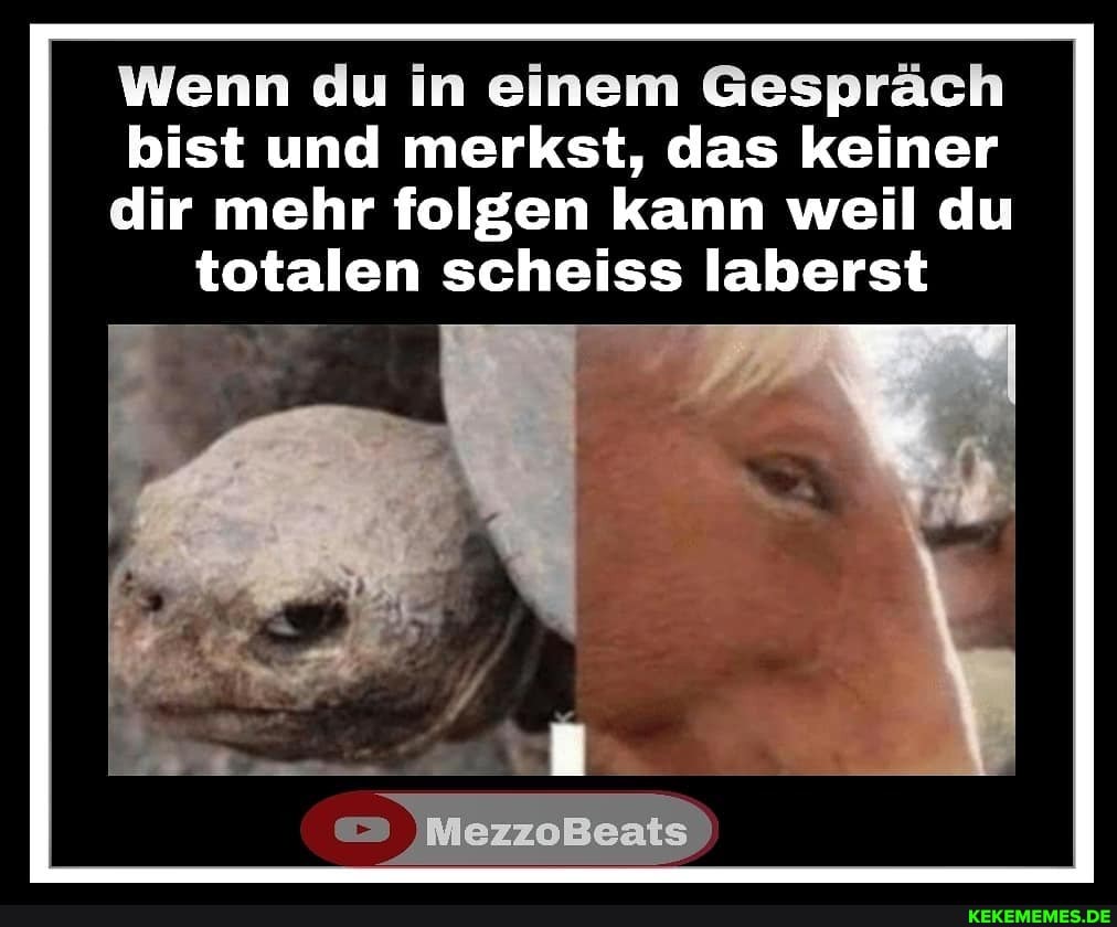 Wenn du in einem Gespräch
bist und merkst, das keiner
dir mehr folgen kann weil du totalen scheiss laberst